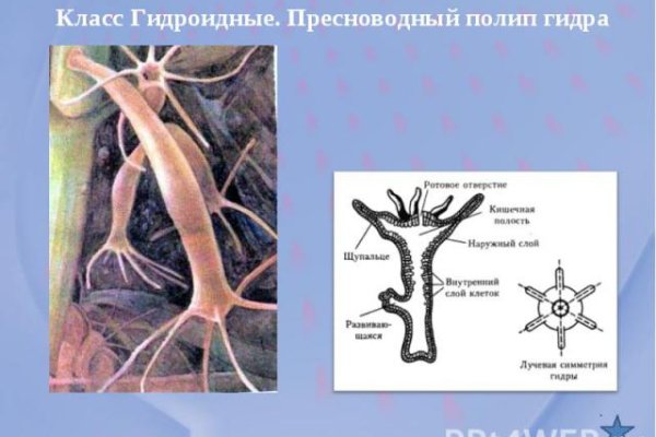 Оригинальная ссылка кракен браузера