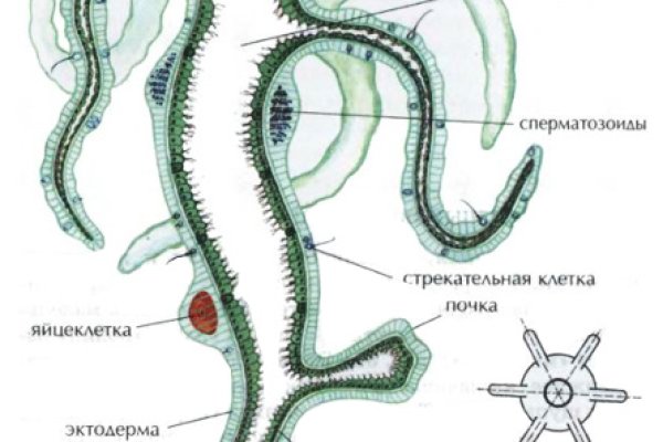 Кракен сайт kr2web in цены