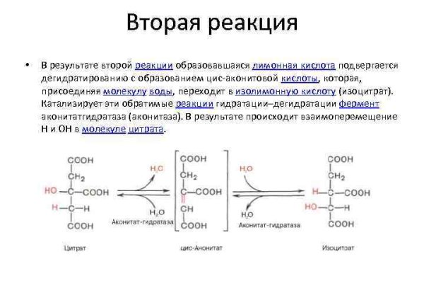 Кракен это площадка