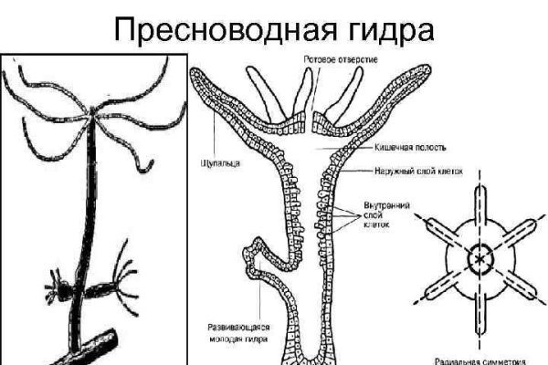 Кракен это сайт