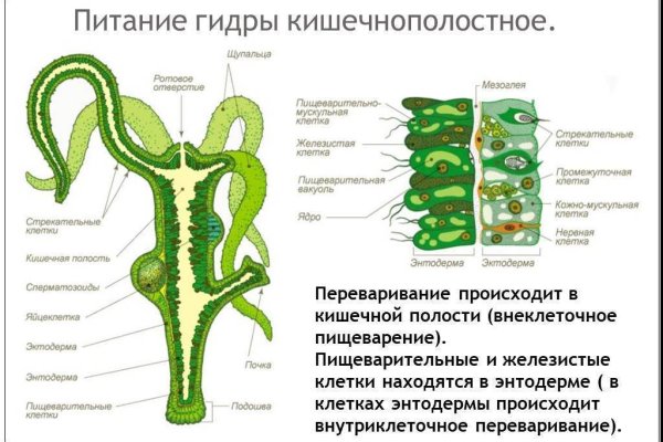 Зайти на кракен тор