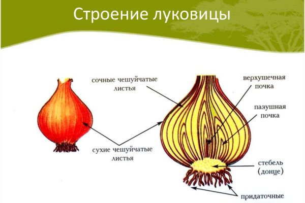 Кракен ссылка kra